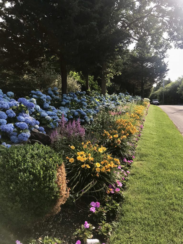 Landscaping-flowers-about-768x1024
