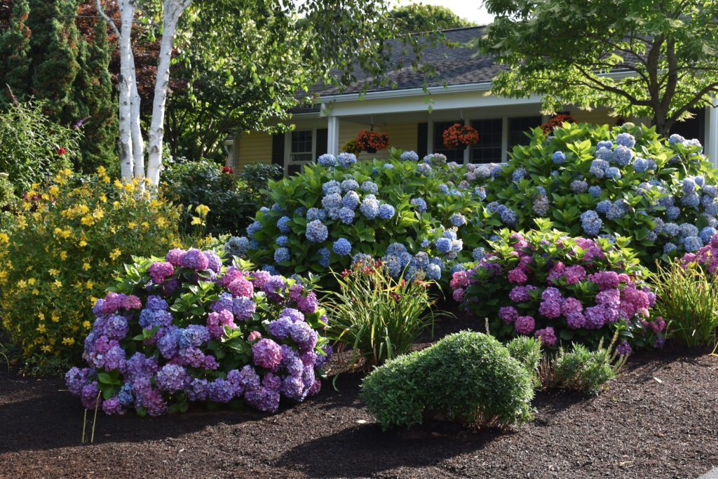 Cape Cod, MA Landscape Maintenance