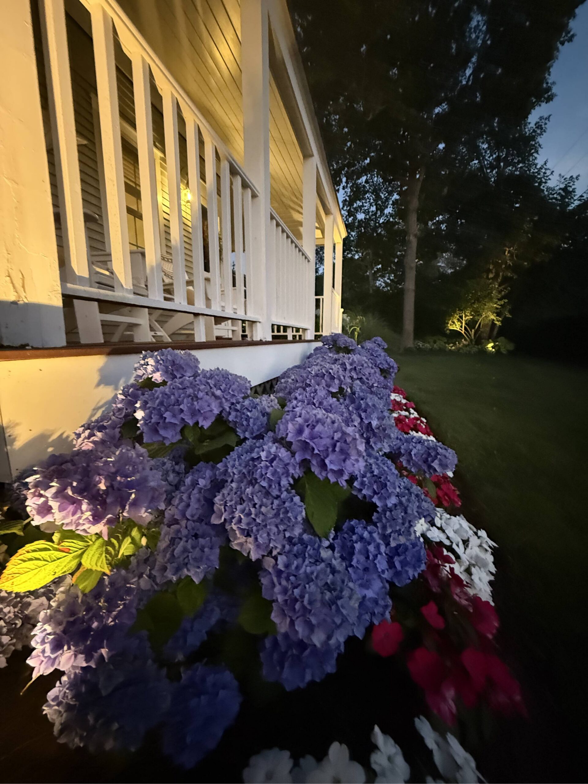 A High Standard for Quality